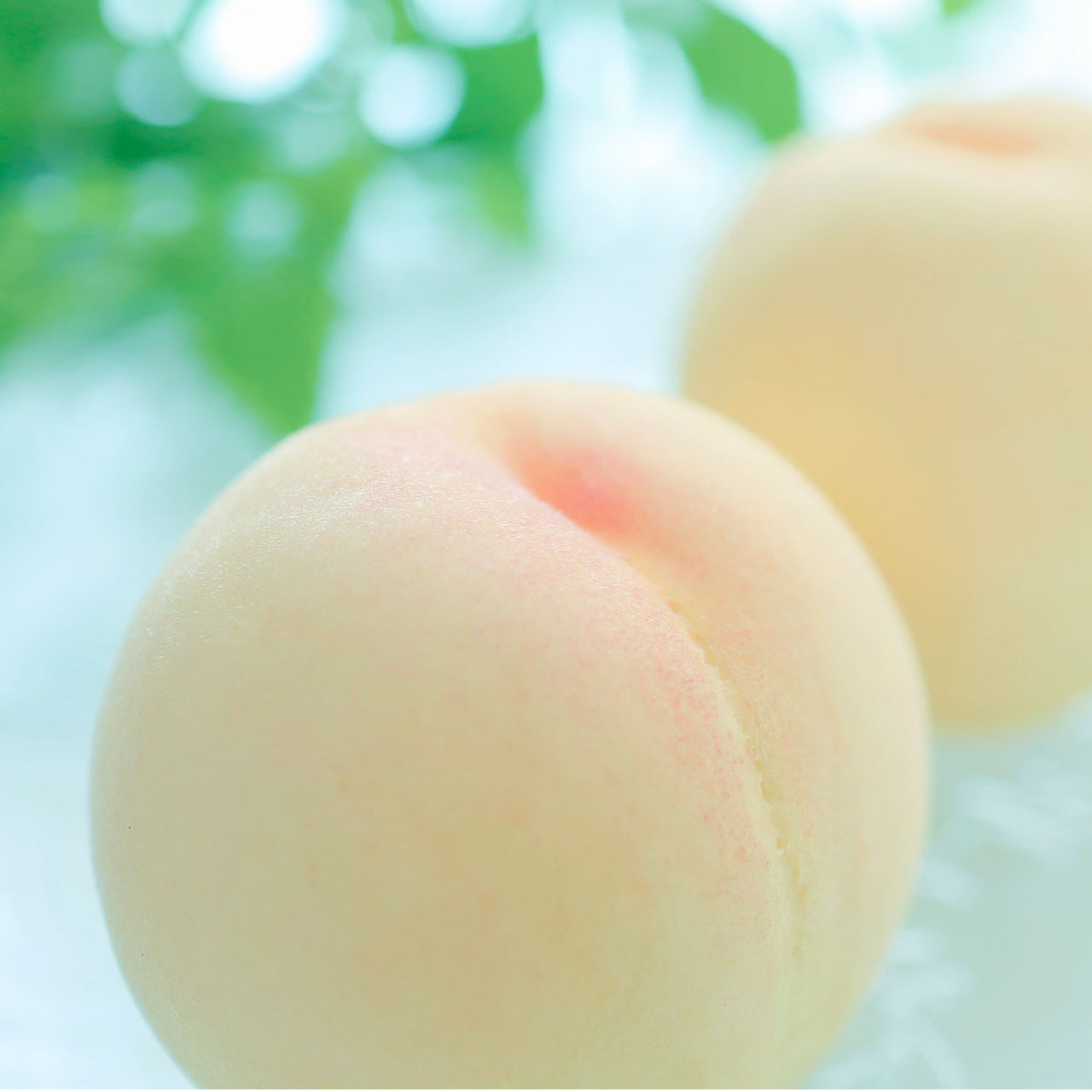 【Snow Peach ジャムスプレッド2種セット】140g × 3個入 (化粧箱入)