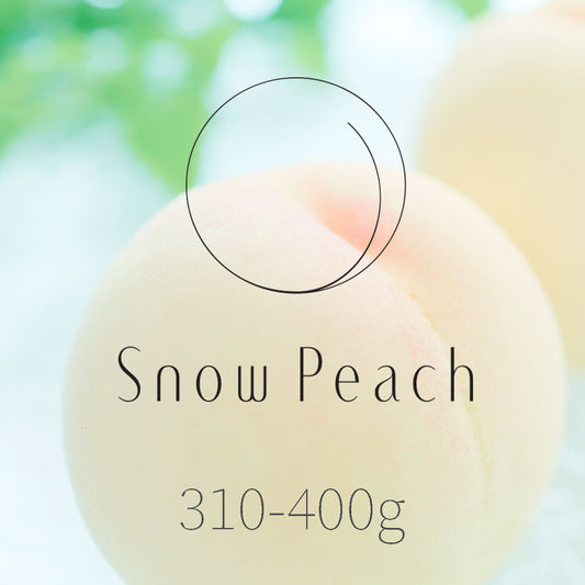 【Snow Peach】310g~400g × 2個入 or 5個入（化粧箱入）