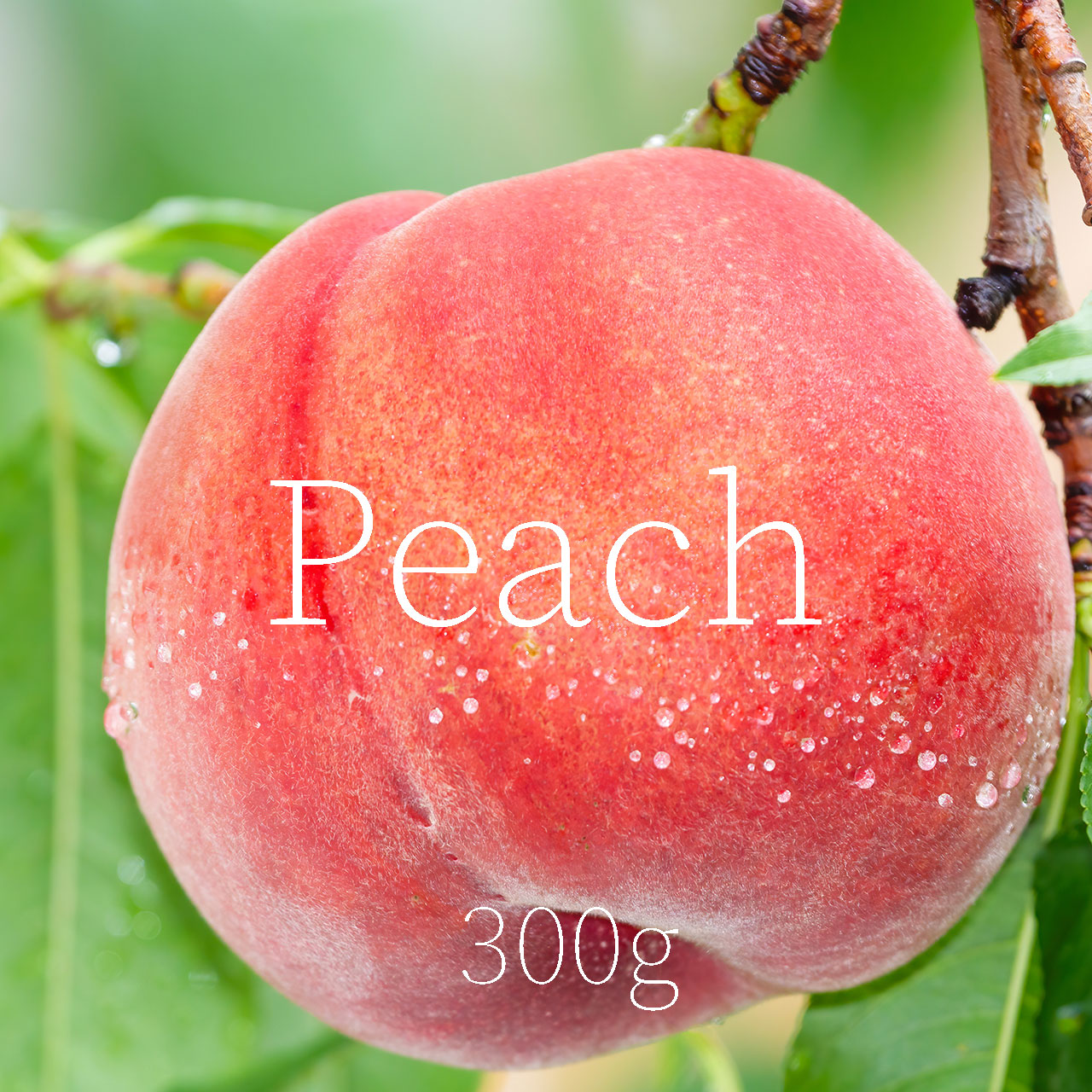 [Peach] Approximately 300g × 6 pcs (in gift box)